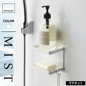 R }OlbgoX[\[vg[ 2i ~Xg MIST zCg 4238