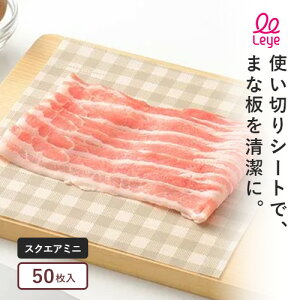 I[NX leye CG ܂ȔV[gXNGA~j 50 LES3211