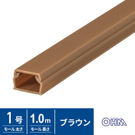 オーム電機 ABSモール 1号 1m ブラウン DZ-AM11-T