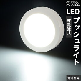 オーム電機 LEDプッシュライト NIT-BLA6PHS-W