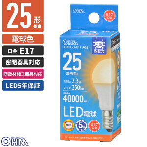 �I�[���d�@ LED�d�����`E17 25�`���� �d���F LDA2L-G-E17 AG6