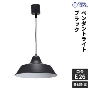 �I�[���d�@ �y���_���g���C�g 60W �u���b�N �d���ʔ� LT-Y10AW-K