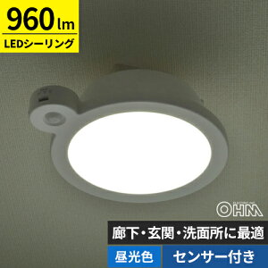 I[d@ LED~jV[OCg ZT[t 60` 960[ F LE-Y9DG-W-PIR