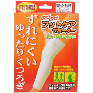 yZ3300~ȏŒ\ẑт̂уtbgPAT|[^[ ЂEӂ͂p t[TCY