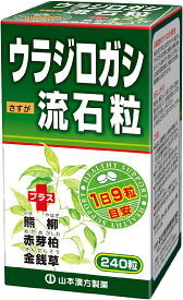 山本漢方 ウラジロガシ流石粒 240粒