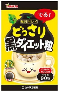 �y���Z3300�~�ȏ�Œ����\�z�R�{���� �ǂ����荕�_�C�G�b�g�� 90����