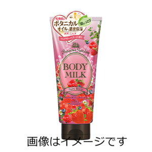 yZ3300~ȏŒ\zR[Z[ vVXK[f@{fB~N@tFA[x[̍@200g