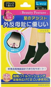 yZ3300~ȏŒ\zeR[|[V O\bNX LTCY 1g 24`25cm