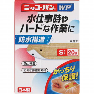 yZ3300~ȏŒ\zyʈË@zjbR[oWP No.501 STCY 20