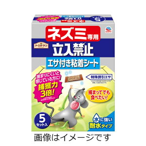 yZ3300~ȏŒ\zA[XK[f lY~p֎~ GTtSV[g 5Zbg