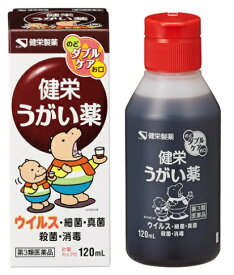 【送料無料】【第3類医薬品】健栄うがい薬 120ml