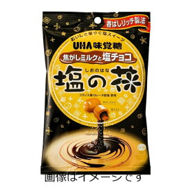 【合算3300円以上で注文可能】【UHA味覚糖】塩の花 1袋