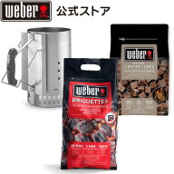 【3/15限定ポイント10倍】 【Weber公式】 ウェーバー 簡単火起こしセット 4kg 17590S01 / ブリケット (炭…