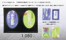 お悔やみ法事ご葬儀お供え花アレンジメント3000円台おまかせのお供え【あす楽対応】お供え花葬式仏花御供えお悔やみアレンジギフトお盆法要供養初盆命日四十九日ペット枕花仏事弔事供花お供え物