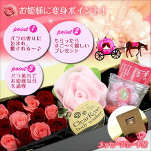 【送料無料】バラ風呂ギフトボックス【楽ギフ_メッセ】【楽ギフ_メッセ入力】【楽ギフ_包装】【画像配信】【RCP】【あす楽_土曜営業】webfloraSSspecial03mar13_interior05P02jun13