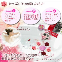 【送料無料】バラ風呂ギフトボックス【楽ギフ_メッセ】【楽ギフ_メッセ入力】【楽ギフ_包装】【画像配信】【RCP】【あす楽_土曜営業】webflora