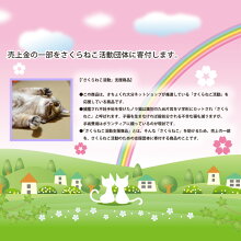 ミルクにゃん赤ワインと花束のセットガーベラカーネーションバラさくらねこワインフラワー【楽ギフ_メッセ】【楽ギフ_メッセ入力】【楽ギフ_包装】webfloraホワイトデー