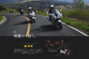 DUNLOP _bv SPORTMAX ROADSMART IV y190/55ZR17M/C (75W)zX|[c}bNX [hX}[g 4 ^C I[h^CEc[O/Xg[g I[h^C