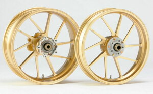 GALE SPEED QCXs[h yTYPE-R tgzA~jEbzC[ M900 900SS DUCATI hDJeB zC[ zC[֘A 