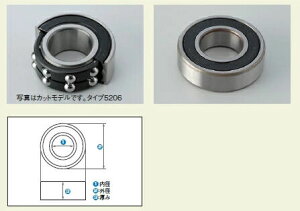 GALE SPEED QCXs[h o[V[xAO zC[xAO zC[֘A 