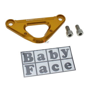 BABYFACE xr[tFCX [VOtbN ZX-10R KAWASAKI JTL [VOtbNE^C_EtbN O