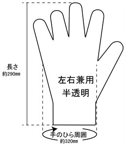 NTB GkeB[r[ |G` ̑O[u O[u Ap F100^×100܁^(10C000)