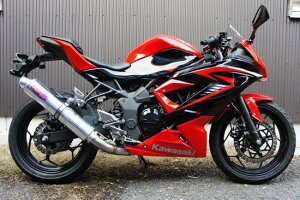 ؃[VO cLM[VO TRGL][XgVXe XeXTCT[ jW250SL KAWASAKI JTL tGL][Xg}t[ }t[