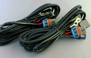 DELTA DIRECT f^_CNg yIvVz H^L [n[lX 200nnCG[X ̑n[lX XCb`En[lX֌W dn