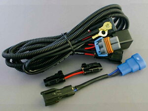 DELTA DIRECT f^_CNg yIvVz H^L d[Lbg 200nnCG[X ̑HIDIvVECi Η dn