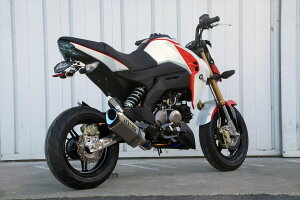 G-Craft W[Ntg XCOA[ gvXNGA X^r Z125 v KAWASAKI JTL  dグFZR[gdグ / XCOA[FW(+0cm) / `F[XC_[F{g