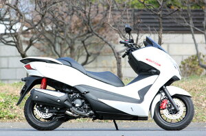 SPj XyVp[cj POWER BOX (p[{bNX) pCv tHc@ Si Forza300 HONDA z_ GL][XgpCv }t[