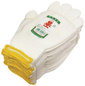 MITANI ~^jR[|[V {DX R O[u Ap