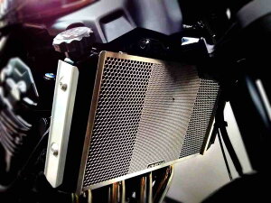 Kfs-STYLE PCYX^C WG^[RAK[h Z900RS KAWASAKI JTL WG[^[RAK[hEICN[[RAK[h p֘A GW