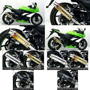 WirusWin ECYEB XbvI}t[ X|[c^Cv tp[o[W jW250R KAWASAKI JTL }t[