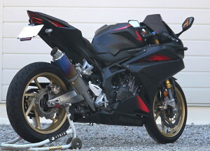WRfS _uA[Y yJMCAF؁zEh^Cv tGL][Xg}t[ CBR250RR HONDA z_ }t[