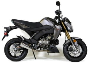 Brockfs ubNX Alien Head [GCAwbh] 2 tGL][Xg Z125PRO KAWASAKI JTL tGL][Xg}t[ }t[