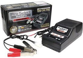 Pro Select Battery プロセレクトバッテリー プロセレクト バッテリードライバー