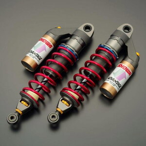 ADVANTAGE Ahoe[W SHOWA [V[] RSATXyV (oCjVAWX^[) ZRX1200_GO KAWASAKI JTL ATXyV TXyV 