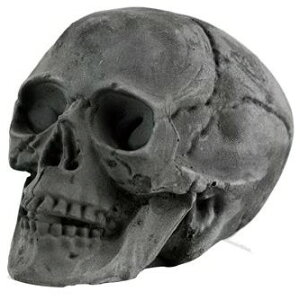 GOODS ObY yBURNING SKULLz XJwbhY ̑LvEAEghApi