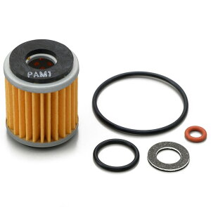 DAYTONA �f�C�g�i ���v���C�X �I�C���t�B���^�[ �I�C�������p�[�t�F�N�g�Z�b�g WR250R WR250X YAMAHA ���}�n �I�C��