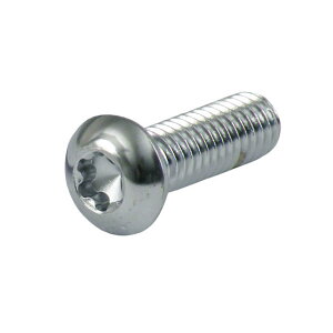 GARDNER-WESTCOTT K[hi[EGXgRbg {^gNX {gyBUTTON TORX BOLTz ėp{gElW