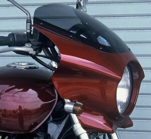 MOTO ZOOM gY[ rLjJE ZEPHYR1100 [[t@[] KAWASAKI JTL JE֘A O