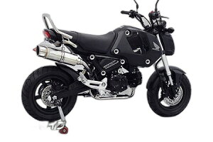 WirusWin ECYEB CAbv}t[ytGL][Xgz OMSX125 HONDA z_ tGL][Xg}t[ }t[ TCT[oF|bp[^Cv / L^CU[(rK