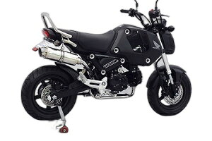 WirusWin ECYEB CAbv}t[ytGL][Xgz OMSX125 HONDA z_ tGL][Xg}t[ }t[ TCT[oFX|[c^Cv / L^CU[(rK