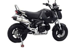 WirusWin ECYEB CAbv}t[ytGL][Xgz OMSX125 HONDA z_ tGL][Xg}t[ }t[ TCT[oF[^Cv / L^CU[(rKX