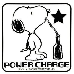 A[NX AXS SNOOPY [Xk[s[] XebJ[ XebJ[EfJ[ O