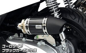 WirusWin ウイルズウィン サイレンサー型 エアクリーナーキット PCX160 HONDA ホンダ 吸気関連 エンジン 吸気口の形状:ユーロタイプ ブラックカーボン仕様
