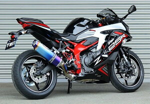 BEET �r�[�g NASSERT(�i�T�[�g) Evolution TypeII �t���G�L�]�[�X�g�}�t���[ ���[�V���O Ninja ZX-25R KAWASAKI �J���T�L �}�t���[ �T�C�����T�[�^�C�v�F�N���A�`�^���^�N���A�`�^��