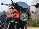 CHIC DESIGN シックデザイン マスカロード Z900RS KAWASAKI カワサキ ビキニカウル カウル関連 外装 スクリーンカラー…