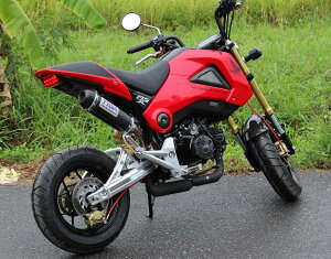 TYGA PERFORMANCE ^CKptH[}X A_[^NJo[ yA O HONDA z_ ̑OIvVECi O